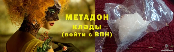 прущие грибы Иннополис