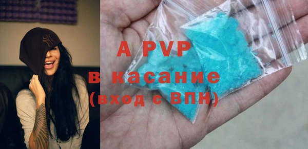 прущие грибы Иннополис
