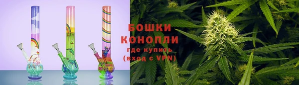 прущие грибы Иннополис