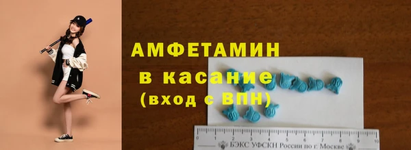 прущие грибы Иннополис
