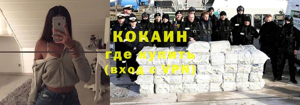 прущие грибы Иннополис