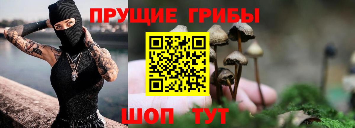Галлюциногенные грибы Cubensis  Вход с VPN  Псилоцибиновые грибы Psilocybe  Спасск-Дальний 